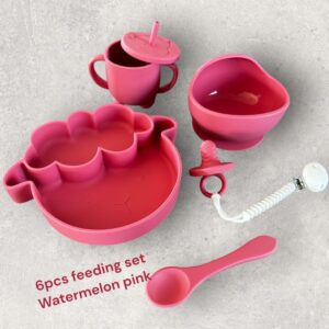 Watermelon Pink 6pcs feeding set